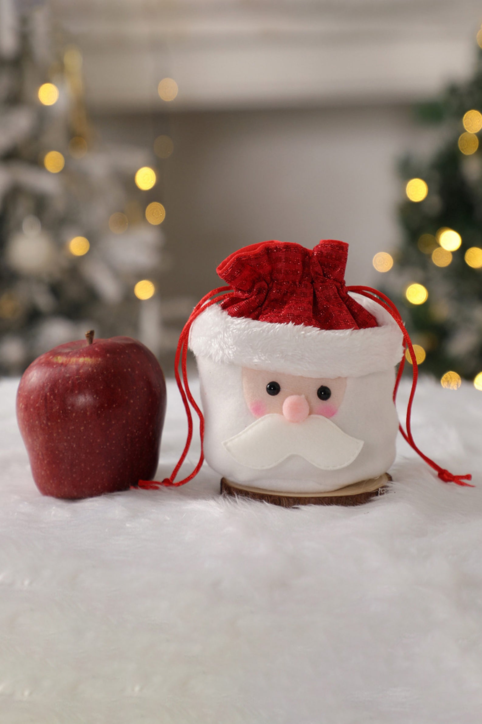 Small Santa Gift Bag